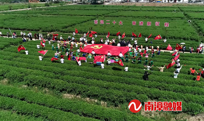 南漳實施“有機”戰略 以有機稻谷種植研發引領農業高質高效發展