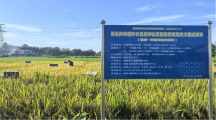 院地合作，科技賦能 常德探索綠色農(nóng)業(yè)新路徑——有機稻谷種植研發(fā)紀實