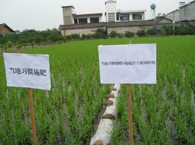 施地佳 突破傳統，以創新科技引領有機稻谷種植與土壤改良新篇章