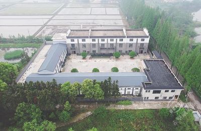 “赤壁香”滿城 有機稻谷種植研發引領綠色農業新風尚