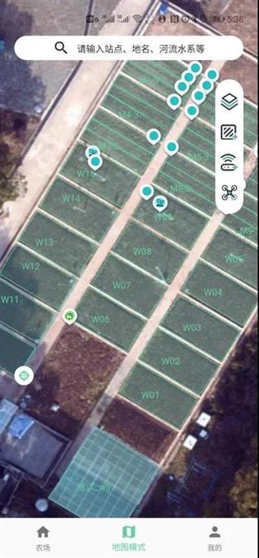 十年點綠成金 武大教授將有機水稻種上云端