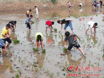 2018首屆中國黃河口大地文化藝術節插秧節盛大開幕，有機稻谷種植研發引領綠色農業新篇章